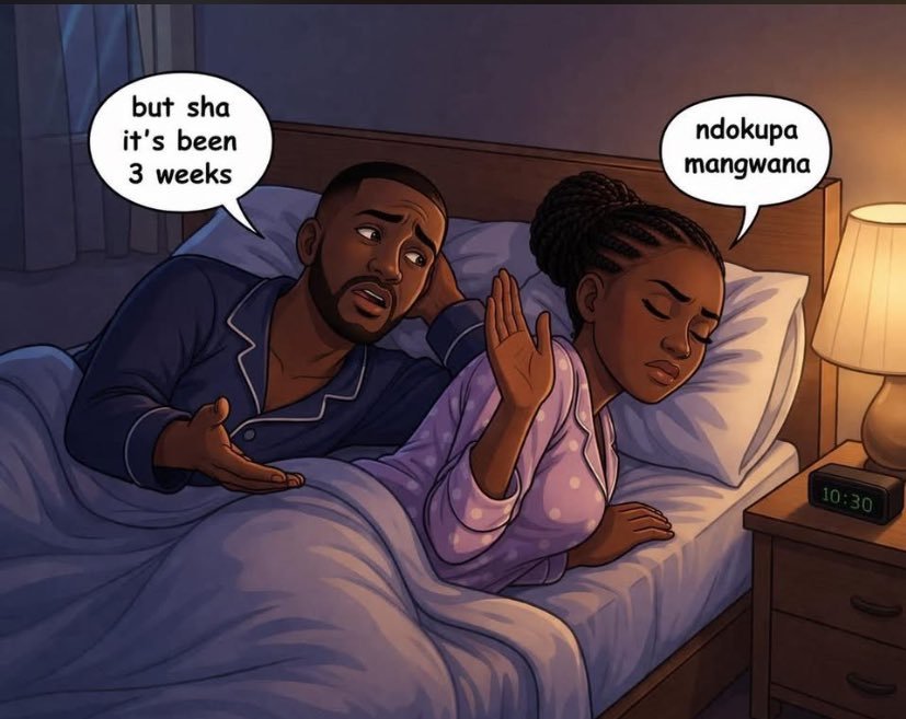 Ombati™ tweet media