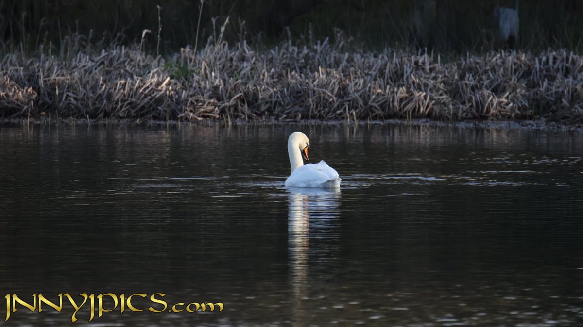 John🤠 tweet media