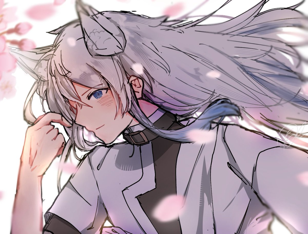 ゛ファイリ ˎˊ˗ tweet media