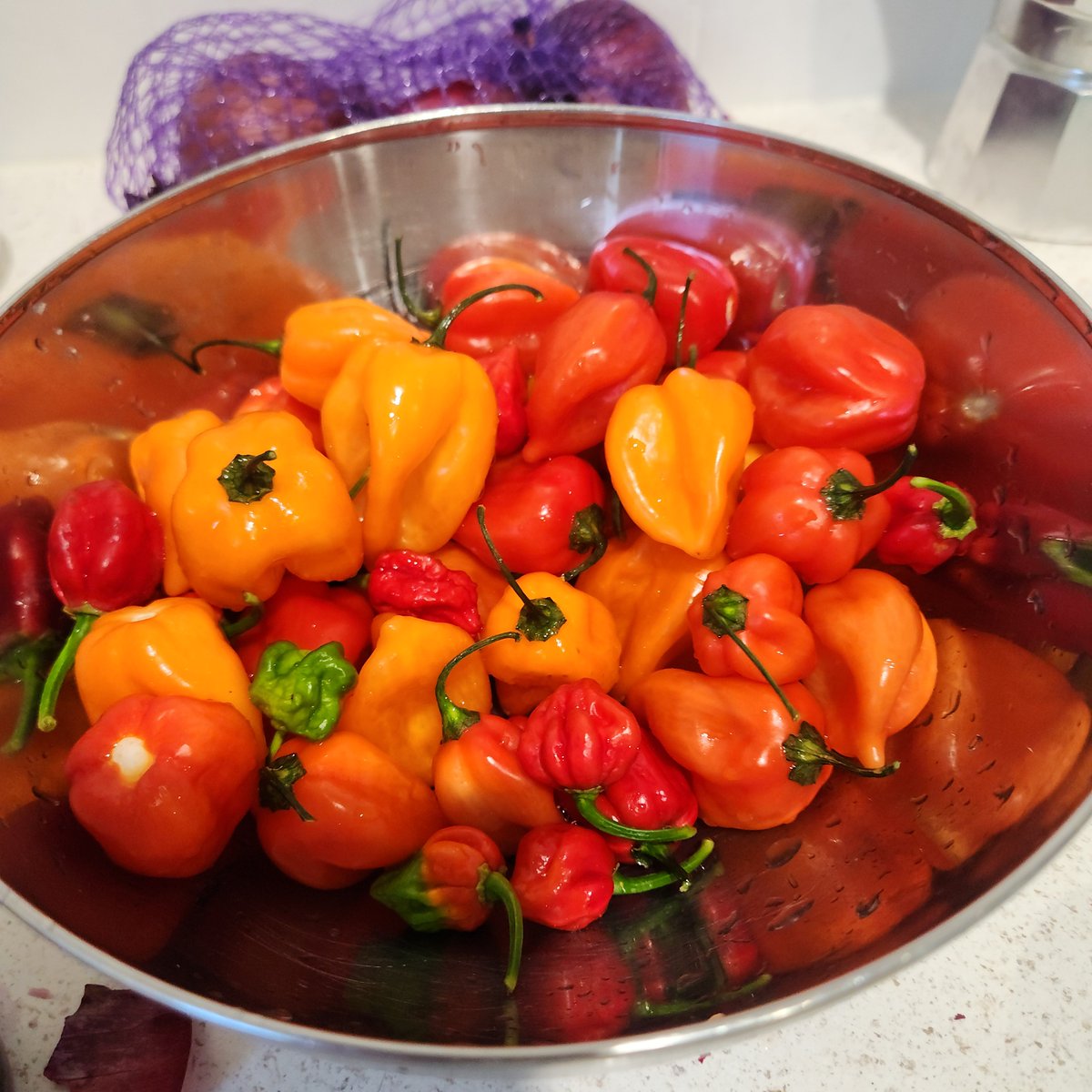 Robotichead tweet media