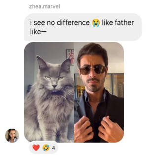 hercoolshit tweet media