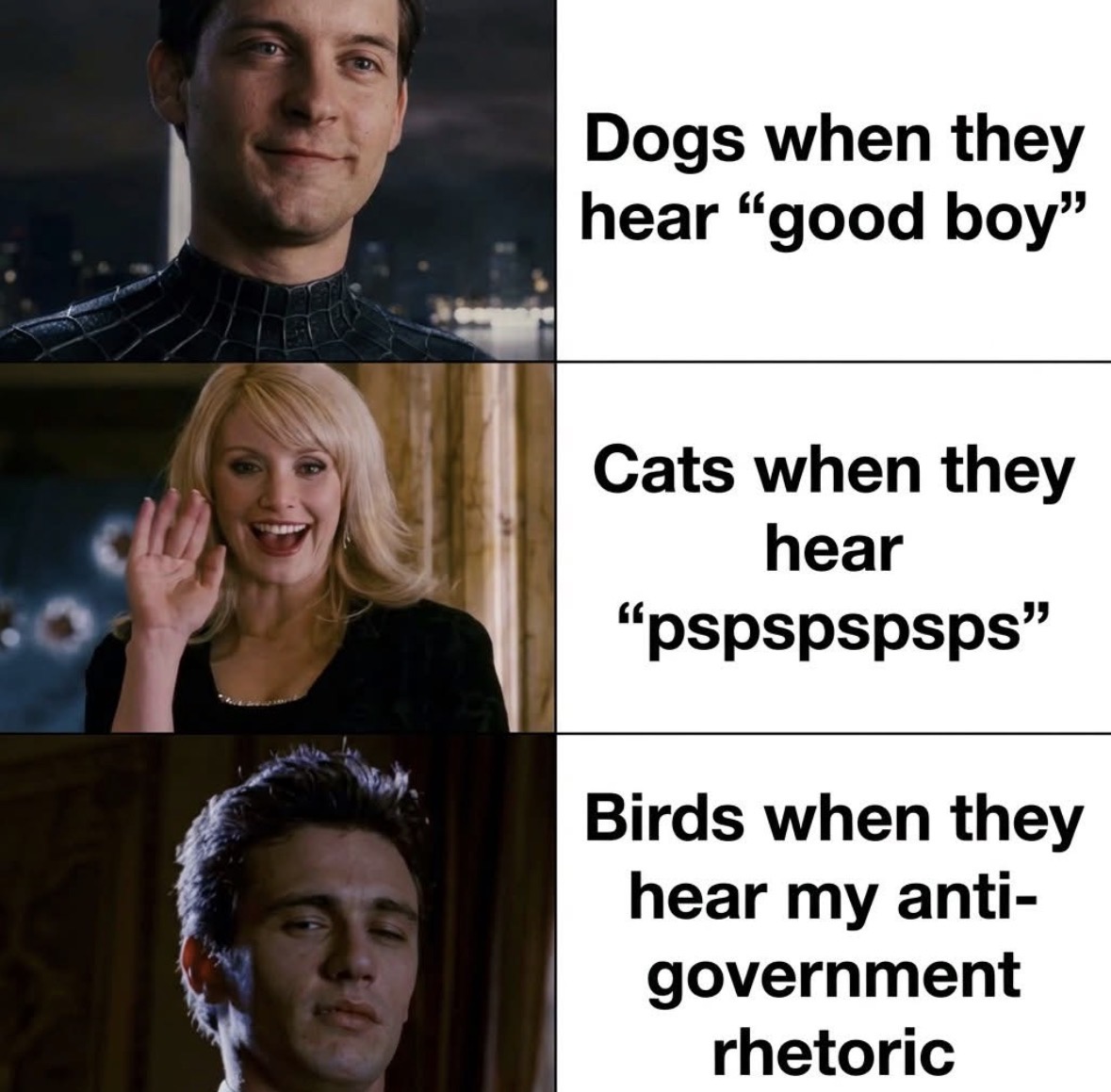 Respectful Memes tweet media