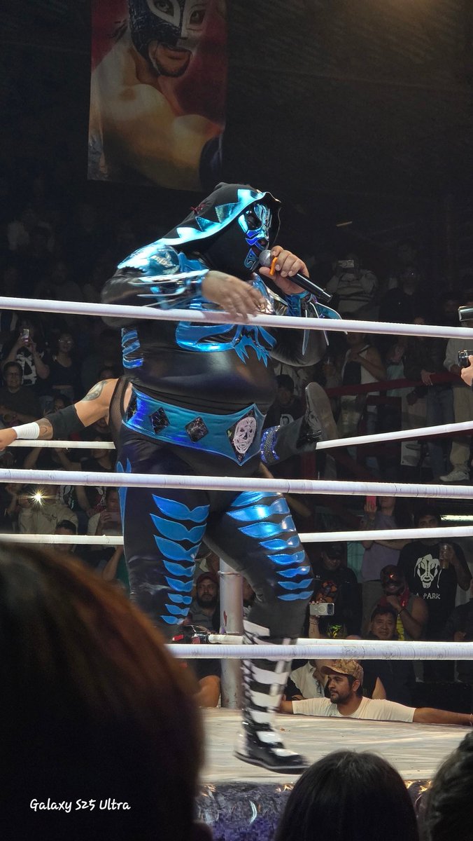 Zaid Padilla tweet media