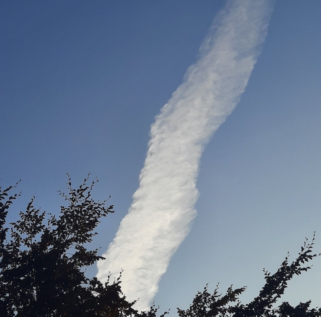 atisha71 🪰🪰🐒🐀 tweet media