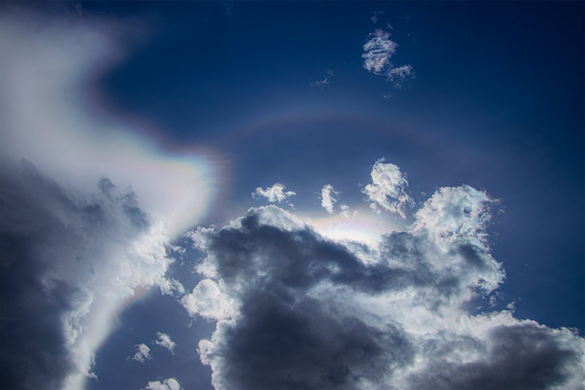 Sufflection.wav tweet media