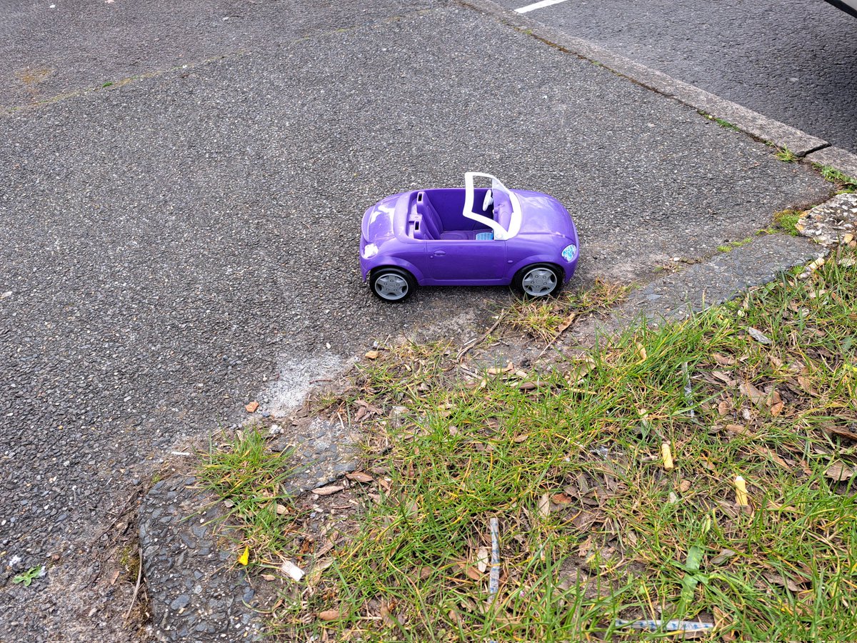 Fiona J Roberts Author tweet media