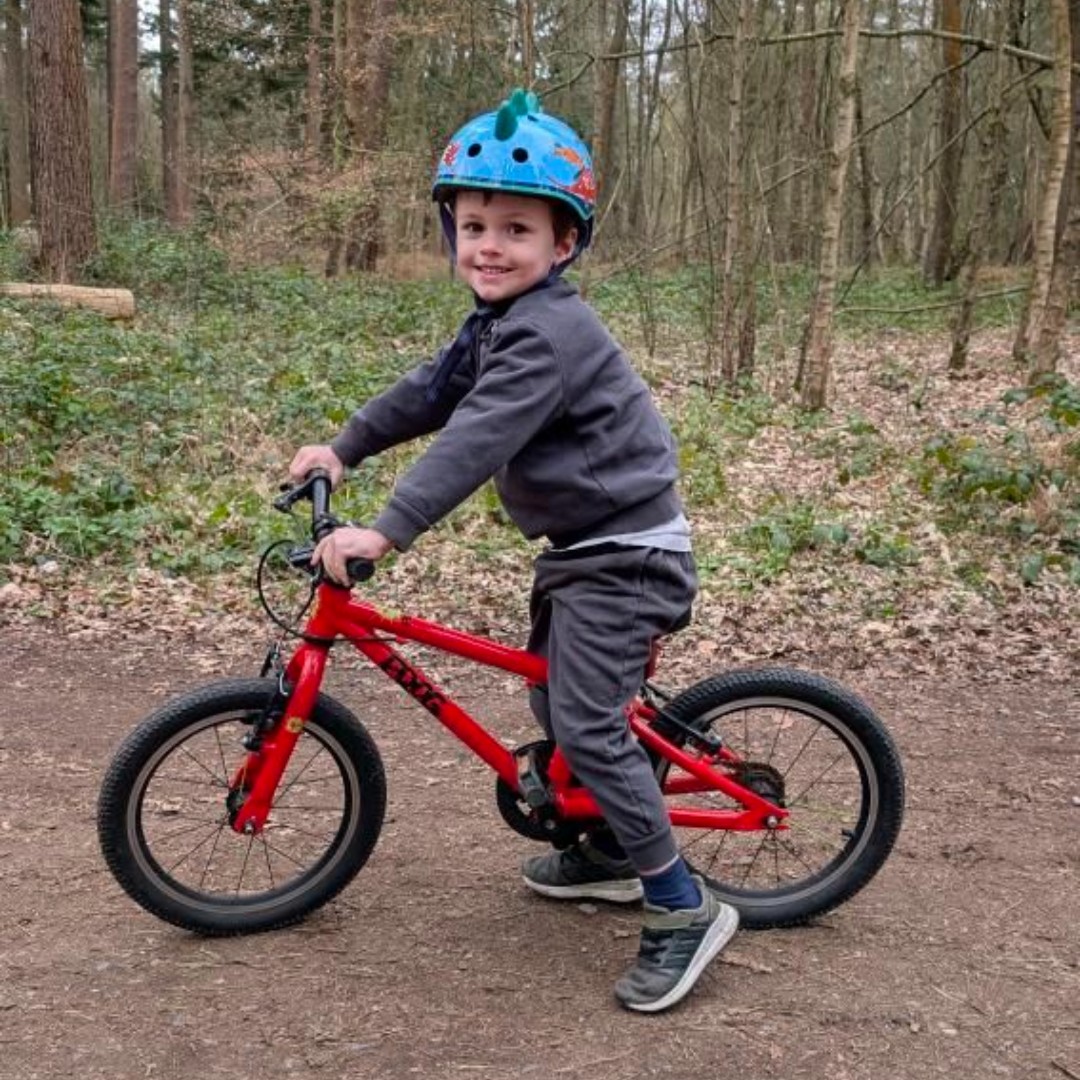 Frog Bikes tweet media