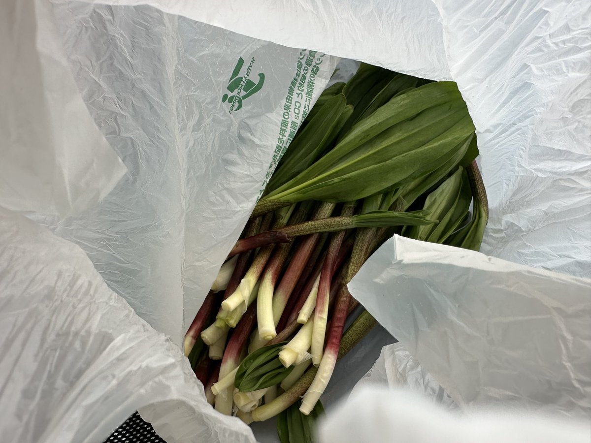 札幌の『しょうご』(たまにYouTube配信してる人) tweet media