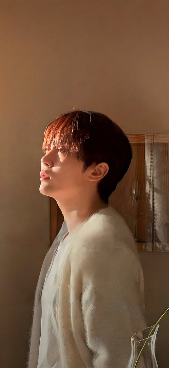 Wallpaper Seventeen tweet media