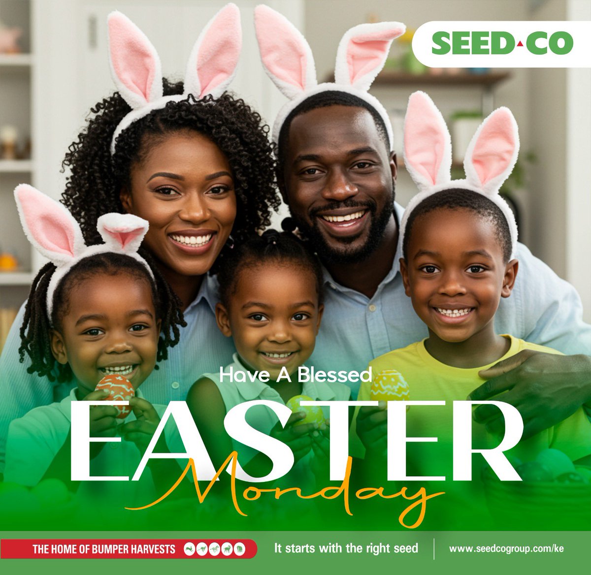 Seed Co Kenya tweet media