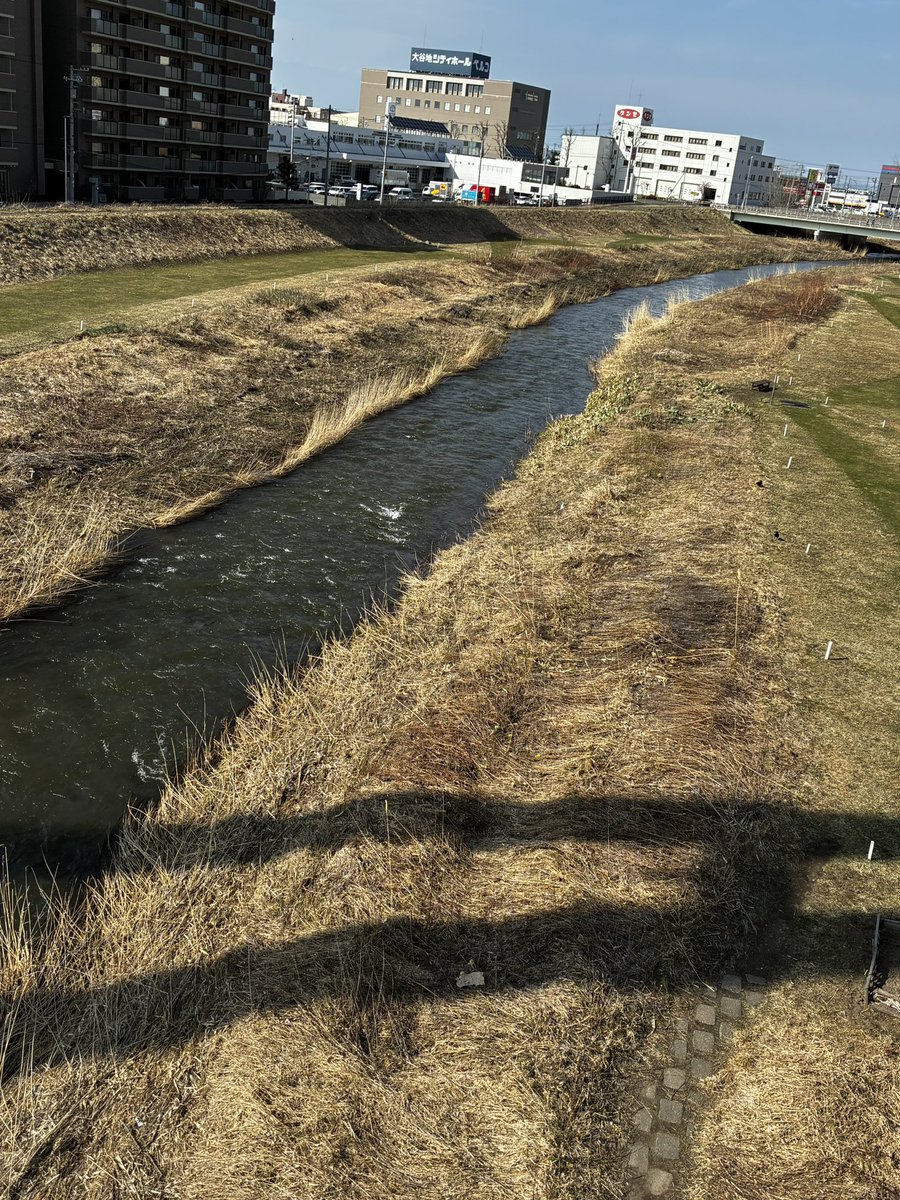 きょん氏🫵@メカクシ団 tweet media