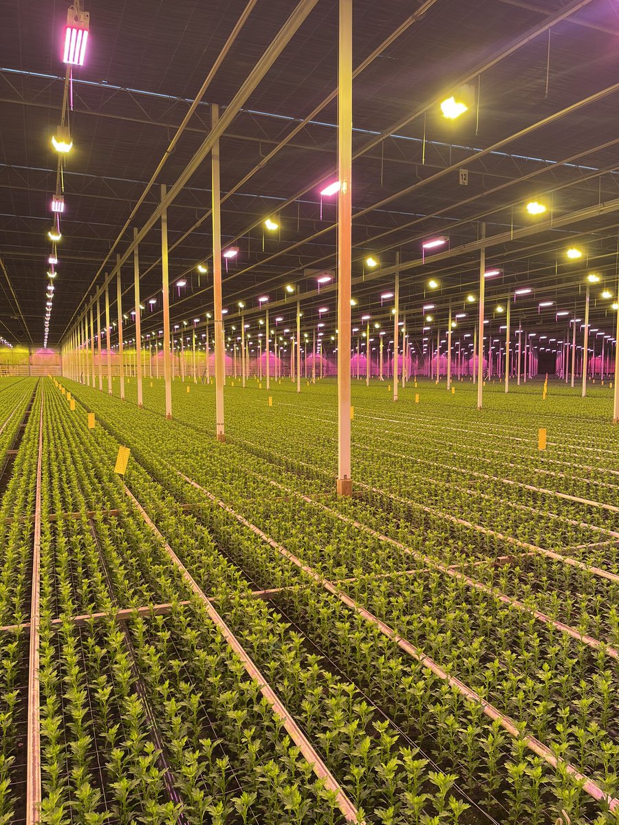 Hans Hendriks tweet media