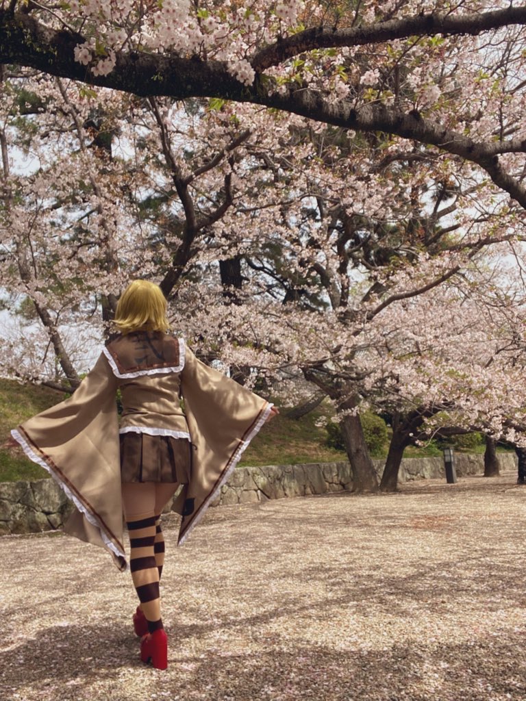 とるて@イエフラ㌠ tweet media