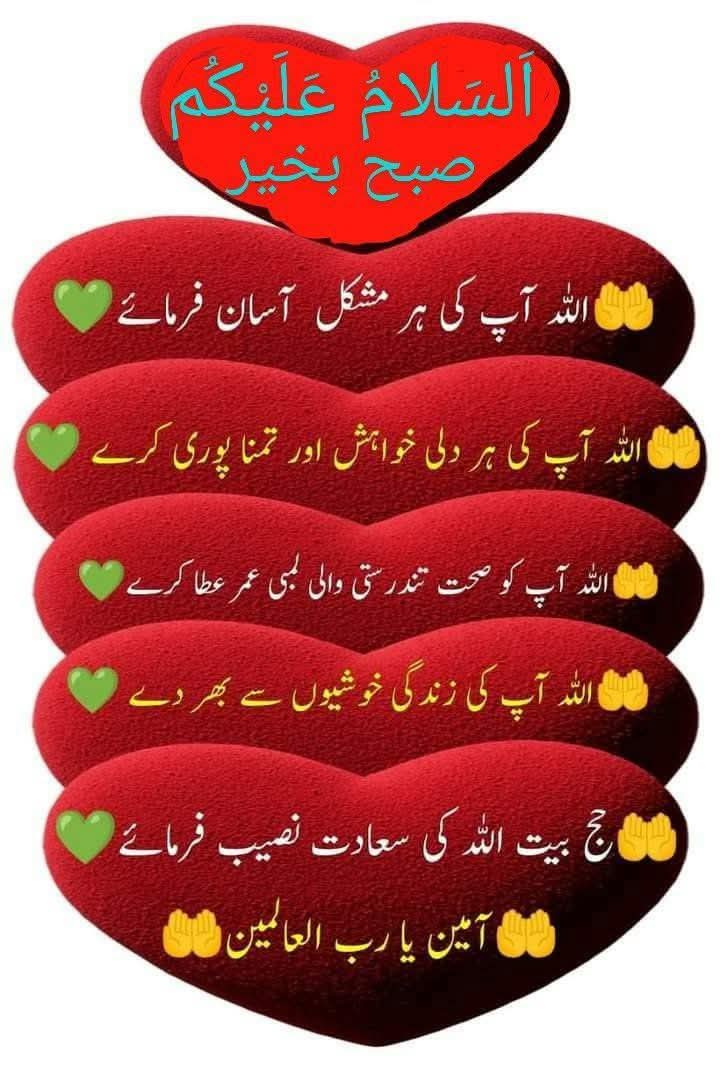 Qamar Shahzad🦅 tweet media