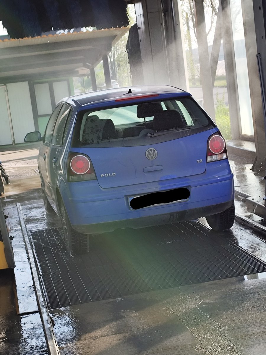 AMO I GATTI PIÙ DELLE PERSONE tweet media