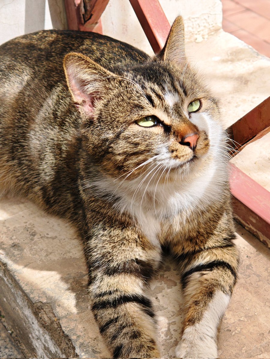 cold流雨 tweet media