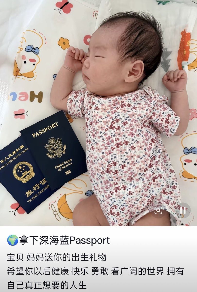 Z神| Z·God🛡️🦓 🚀 tweet media