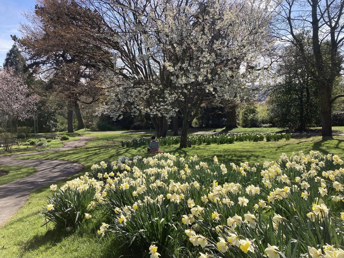 doristhehat tweet media