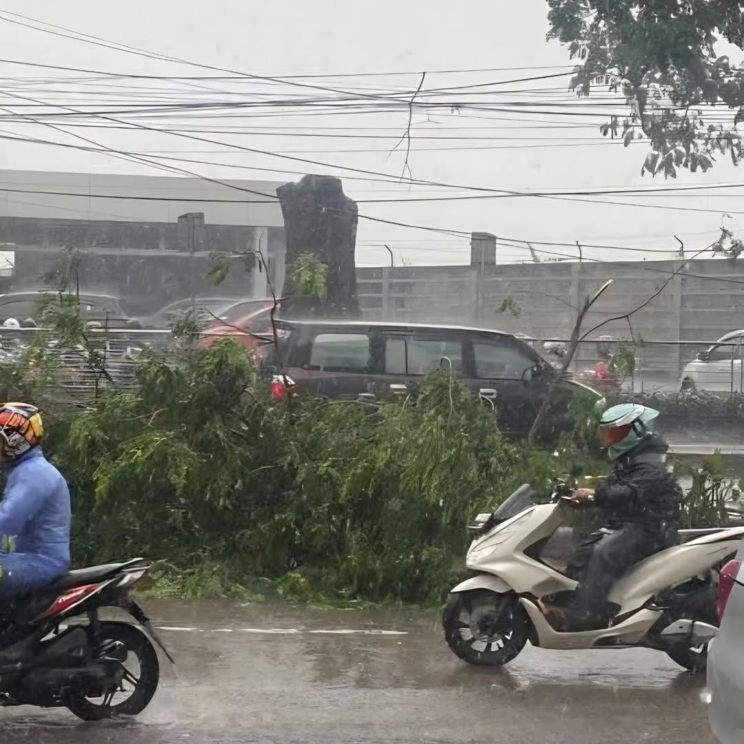 About Tangerang tweet media