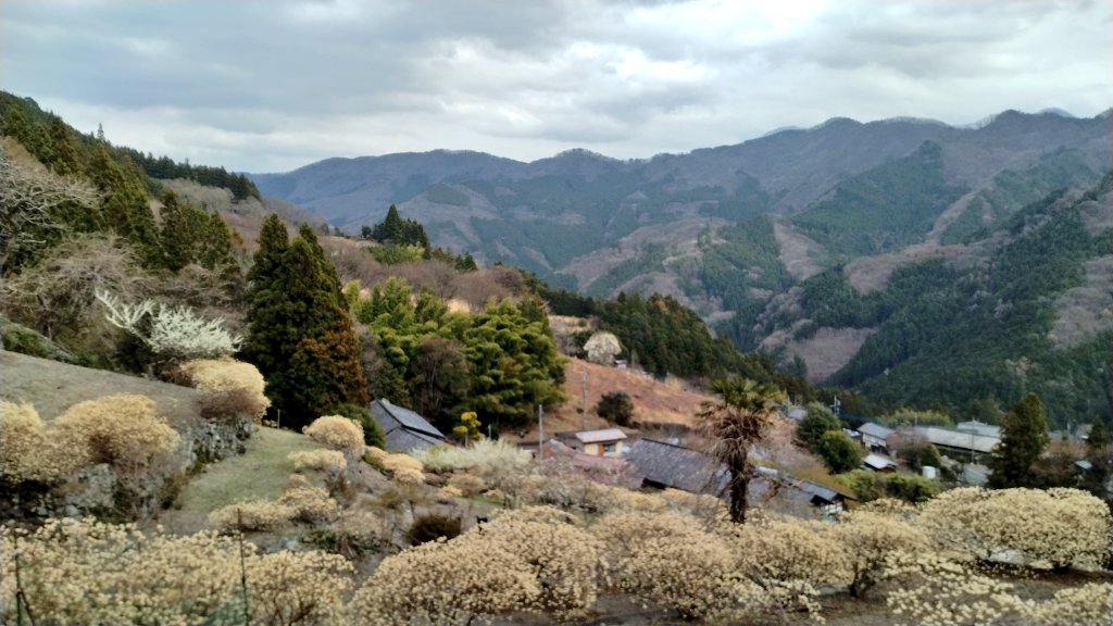 ともも(小豆) tweet media