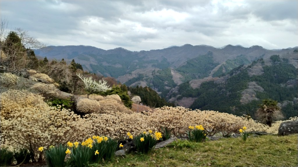 ともも(小豆) tweet media