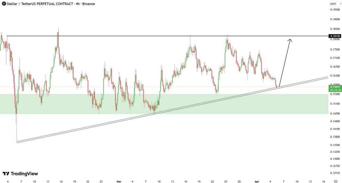 Marcus Corvinus tweet media