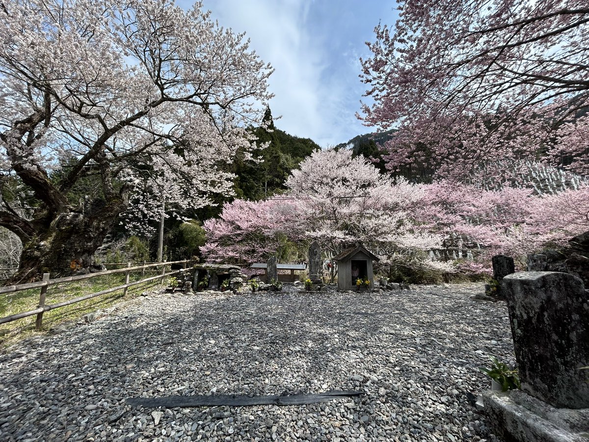 🇬🇧Lone Rider🇯🇵⛩️🗻🏍️ tweet media