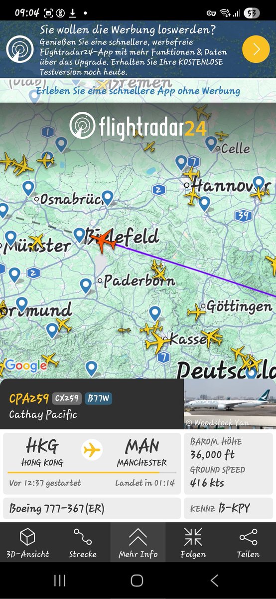 Thus Nelda tweet media