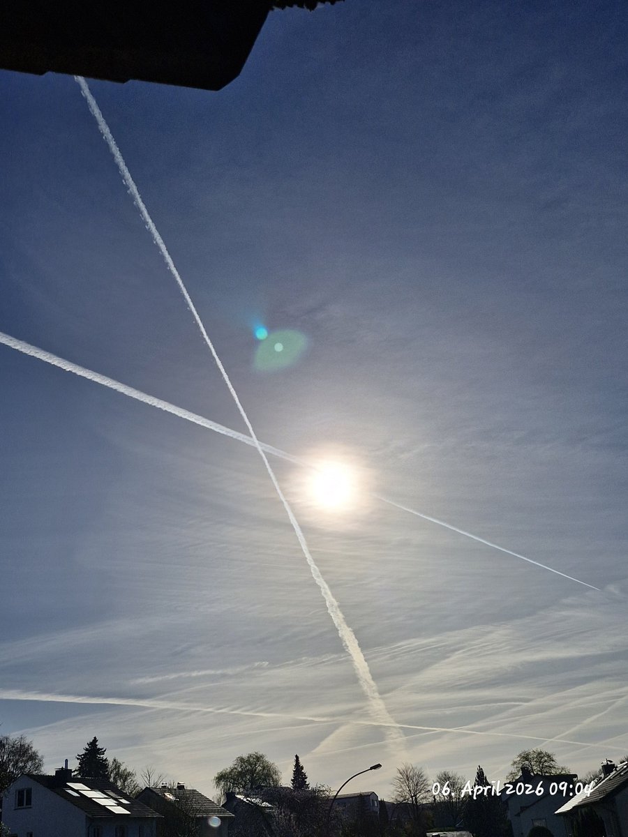 Thus Nelda tweet media