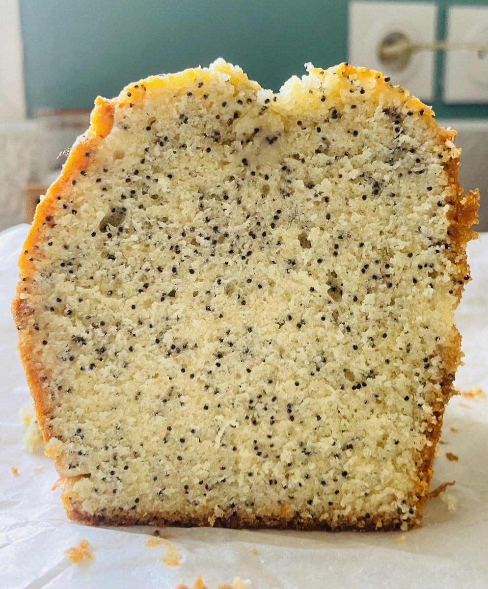 MP 974👨🏽‍🏫🌍⏳🏺🐈🐝✈️🇷🇪🇫🇷 tweet media