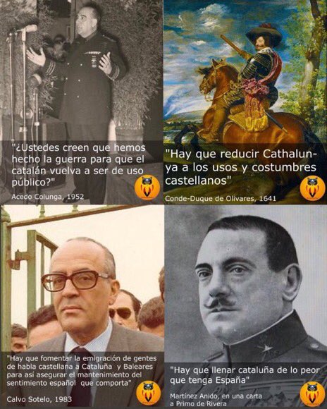 Didac Costa tweet media