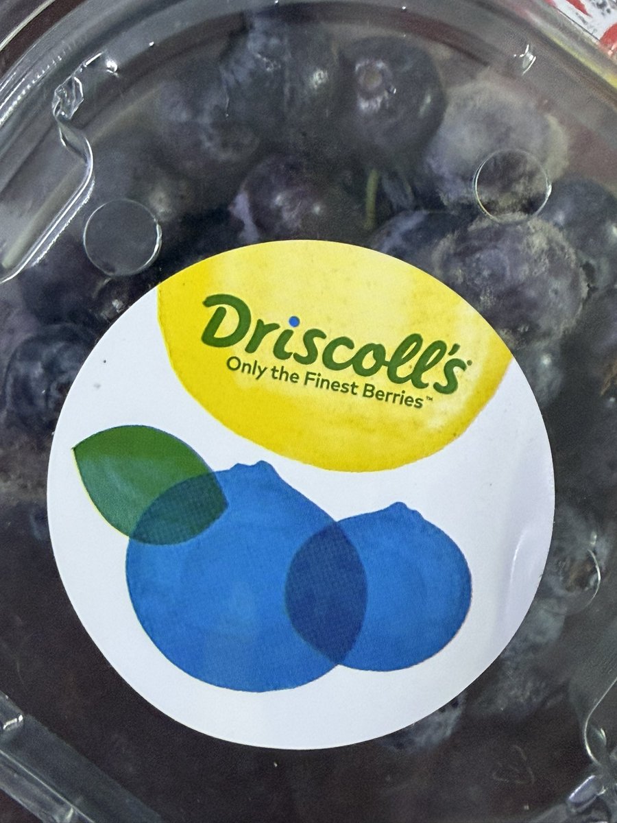 C.zahraa Alsharif tweet media