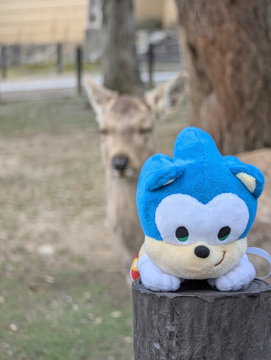 Ham (Travelling the World) @ 🇯🇵 tweet media