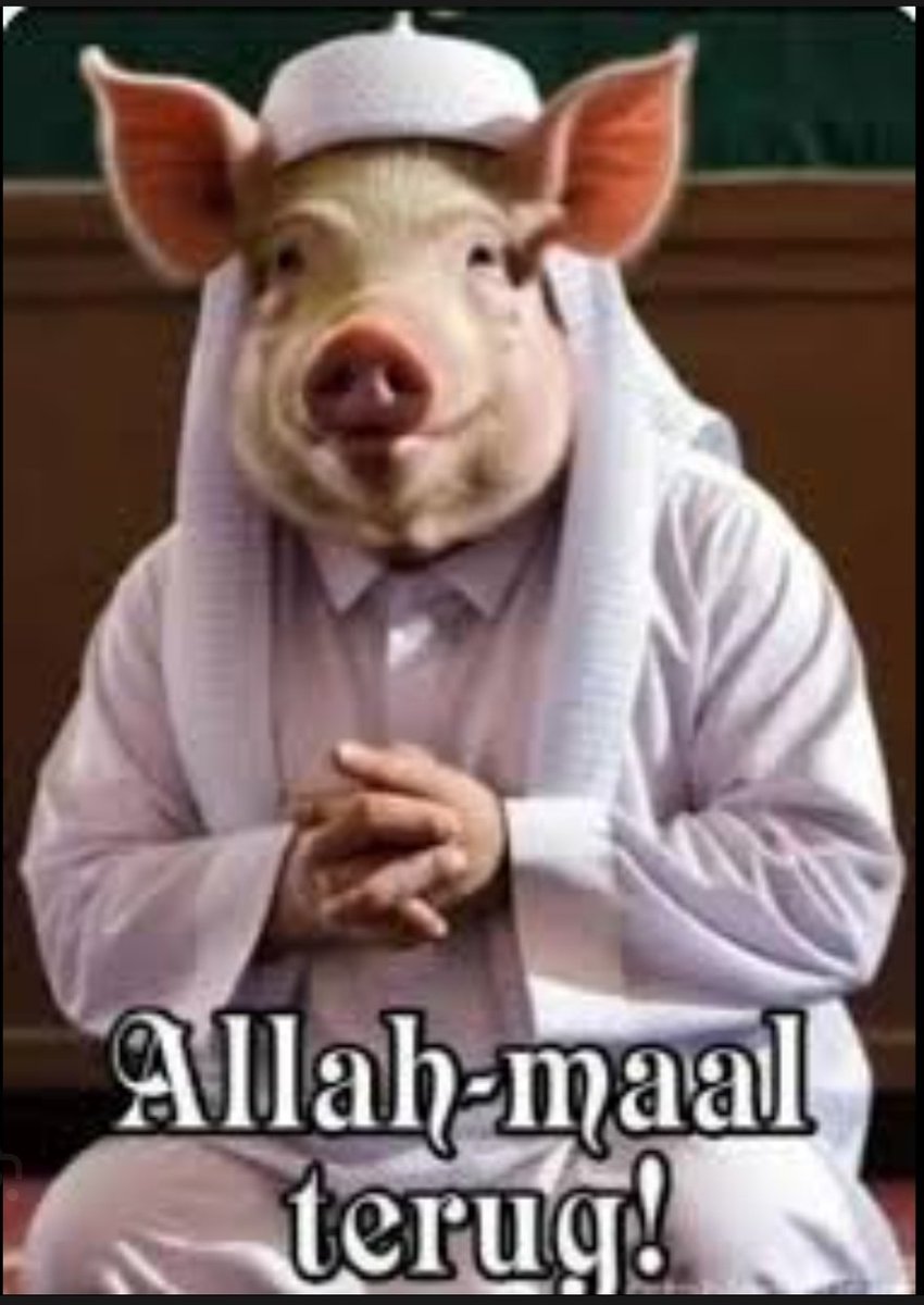 Carla vd B tweet media