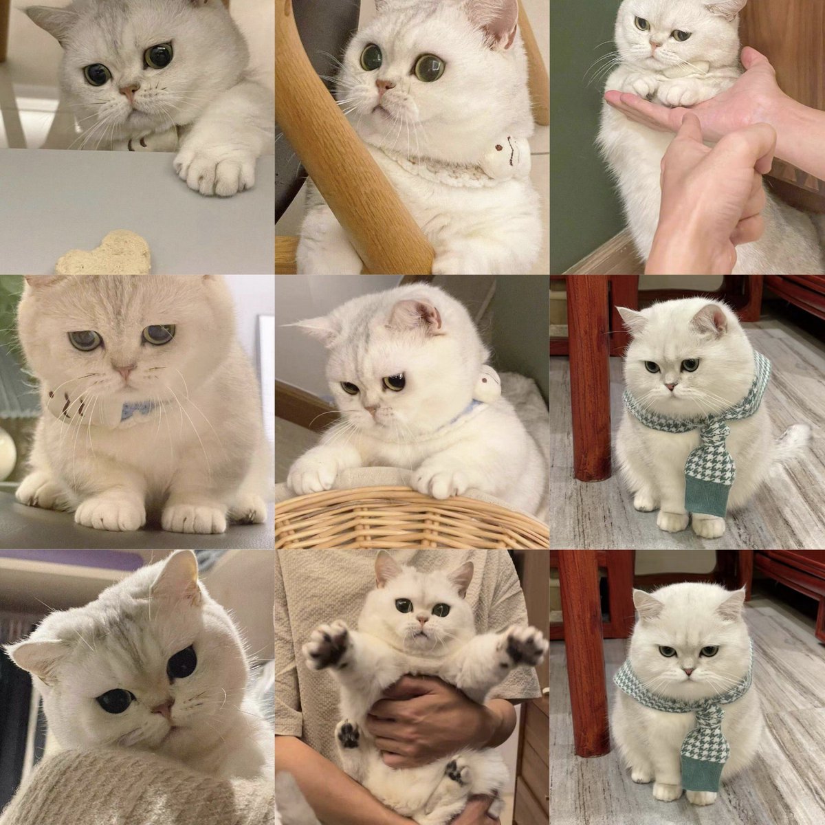 Sushar Murmu tweet media