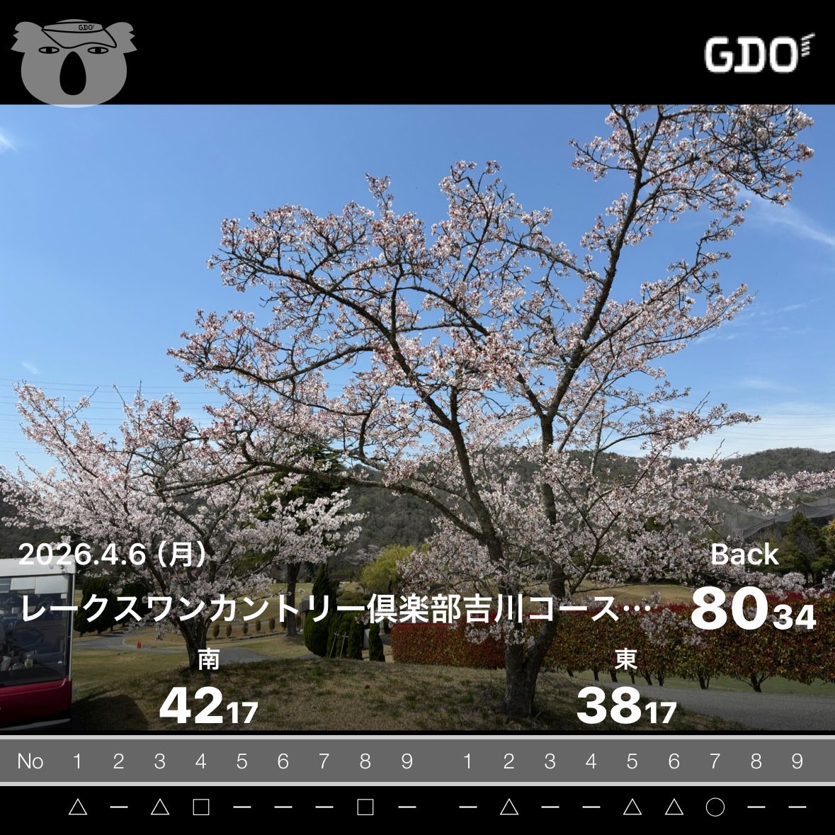 Tさん⛳️ tweet media