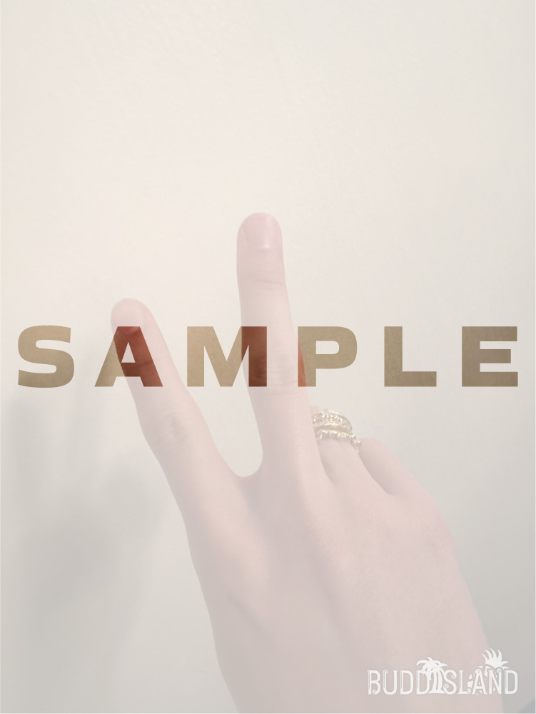 BUDDiiSLAND tweet media