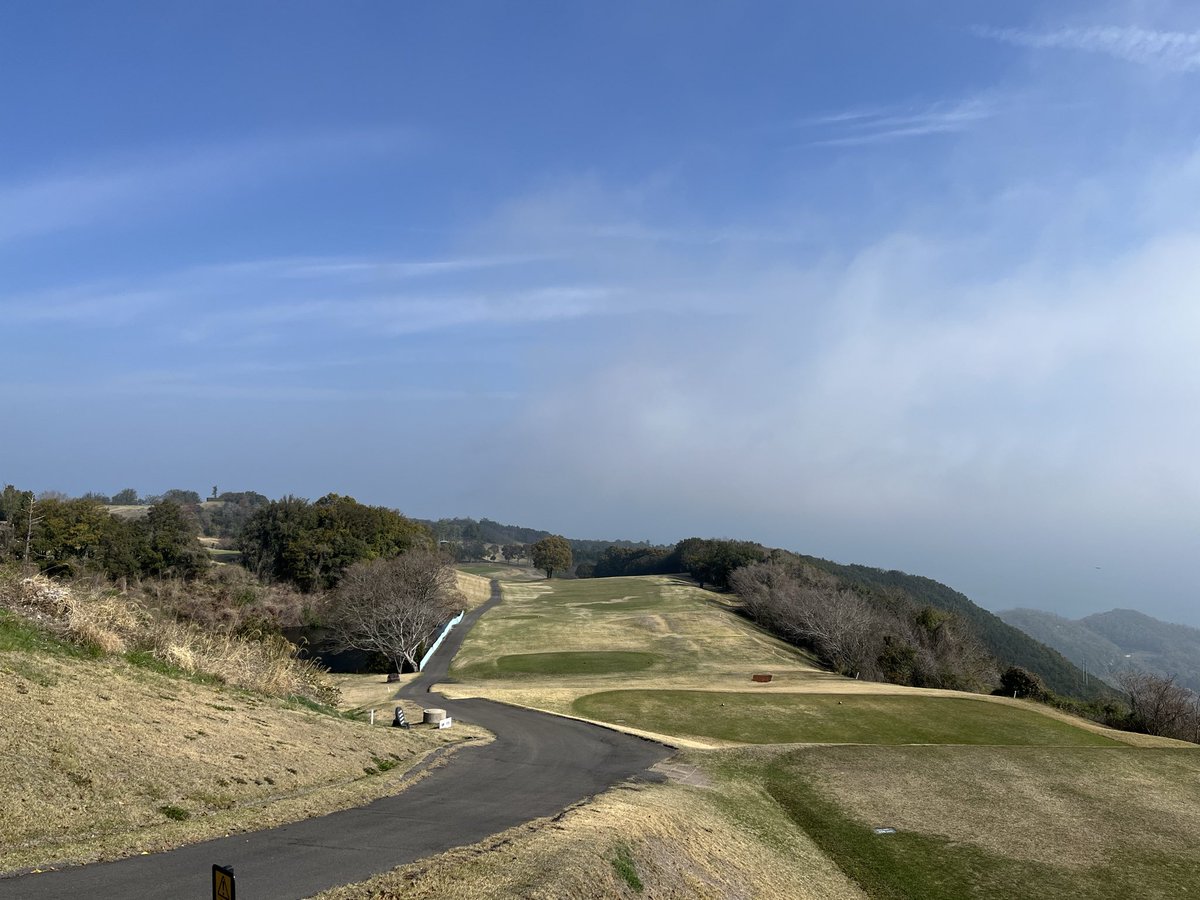 マルモ🍬 tweet media