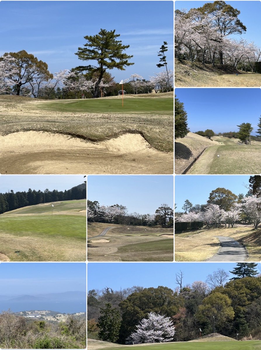 マルモ🍬 tweet media