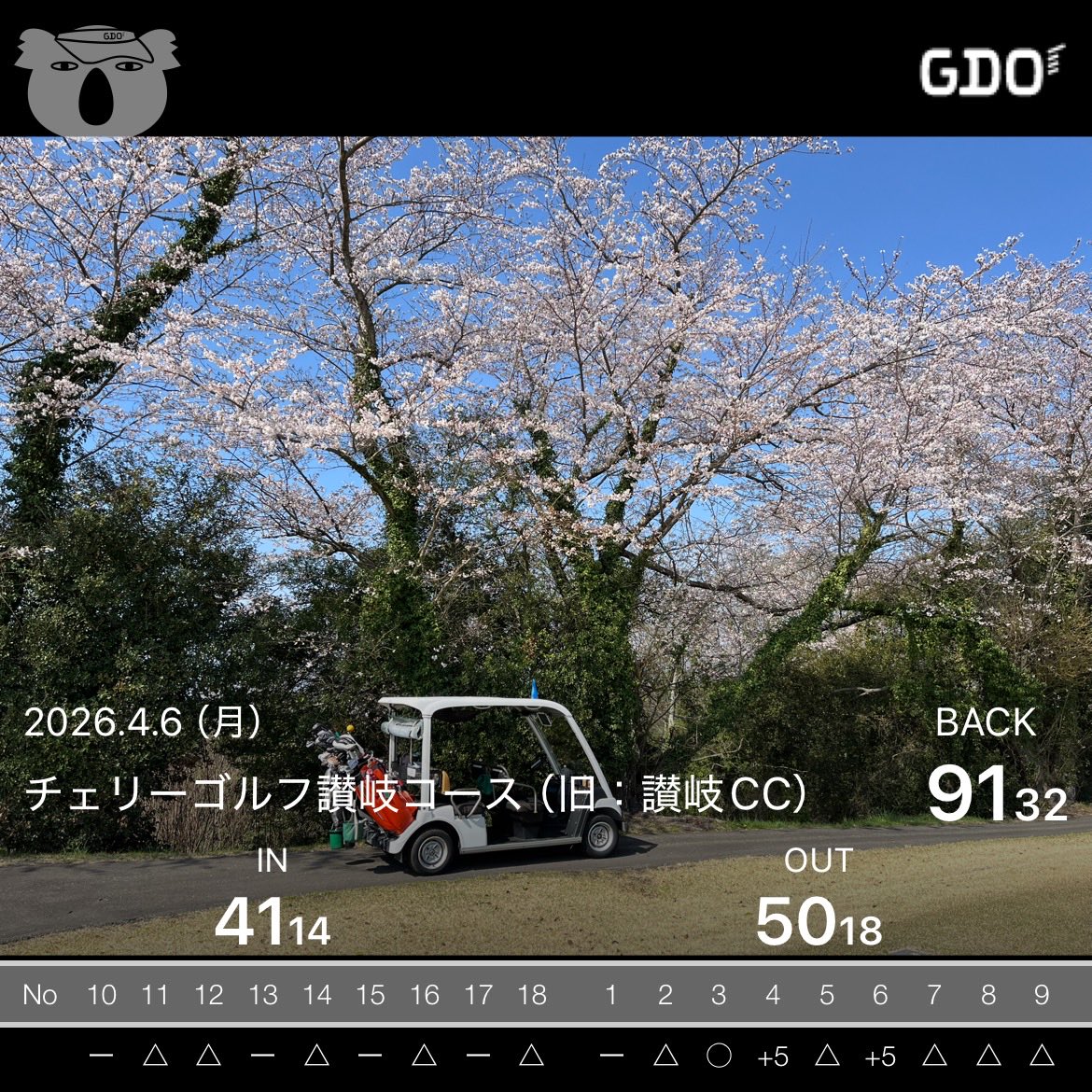 マルモ🍬 tweet media