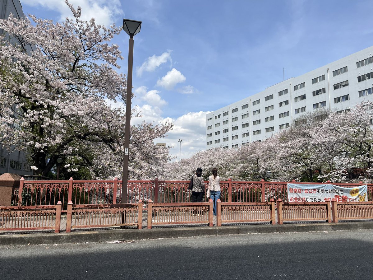 パッキン tweet media