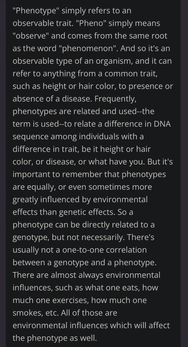 lulu🌺 tweet media