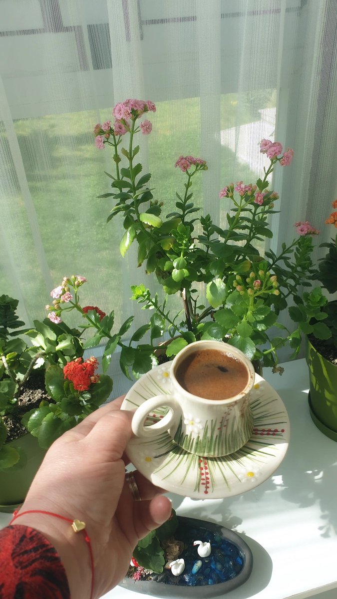 ZarifPaPatya🌼 tweet media