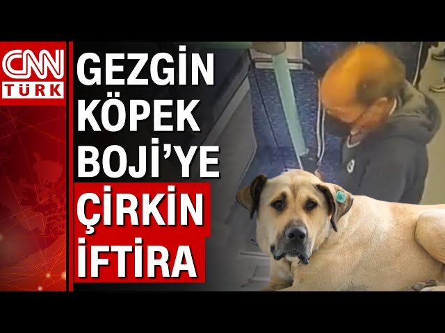 Ata Temur tweet media