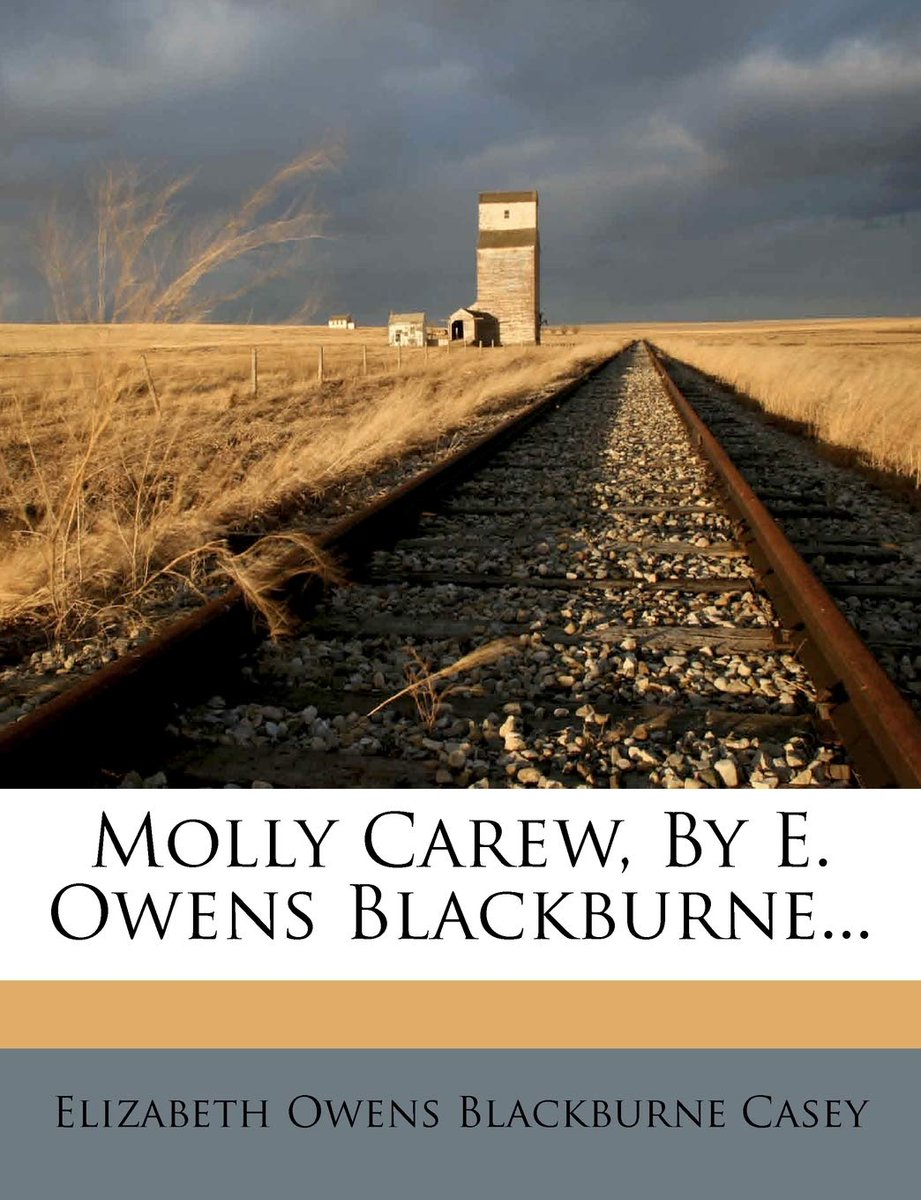 lorraineelizab6's tweet photo. Elizabeth Owens Blackburne Casey (10 May 1845/8 #Slane #Meath-6 April 1894 #Drumcondra #Dublin). Writer/novelist. Published 1st biographical reference book of Irish women. Pen name E Owens Blackburne. Blind as child but sight restored by Sir William Wilde. https://t.co/gowM93YtHs https://t.co/DkeCQfbxeX