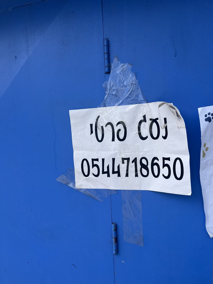 מיתר צוקר tweet media