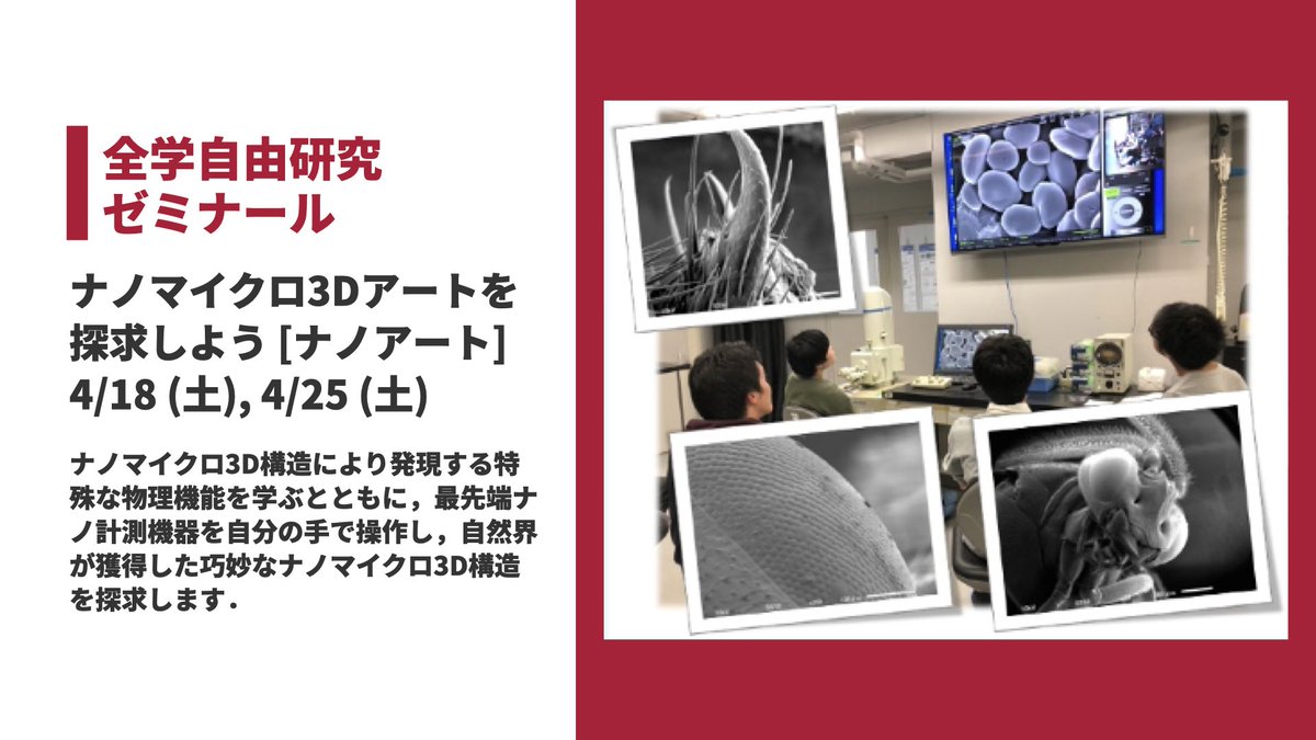 UtokyoP's tweet photo. 【全学自由研究ゼミナール】
ナノマイクロ3Dアートを探求しよう [ナノアート]

ナノマイクロ3D構造により発現する特殊な物理機能を学ぶとともに，最先端ナノ計測機器を自分の手で操作し，自然界が獲得した巧妙なナノマイクロ3D構造を探求します．

https://t.co/XAYACTFZdn
締切 4/9 (木) https://t.co/EBEYB0BNT0