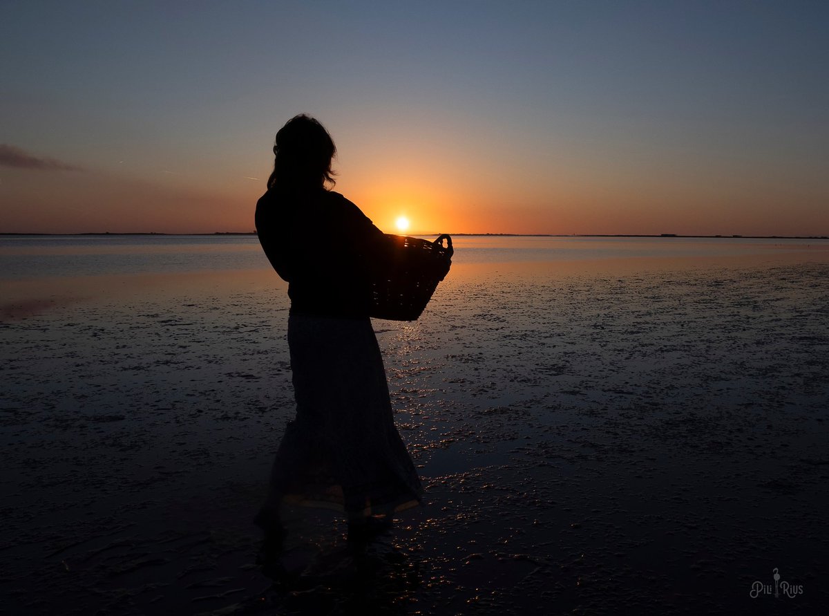 Pili Rius tweet media