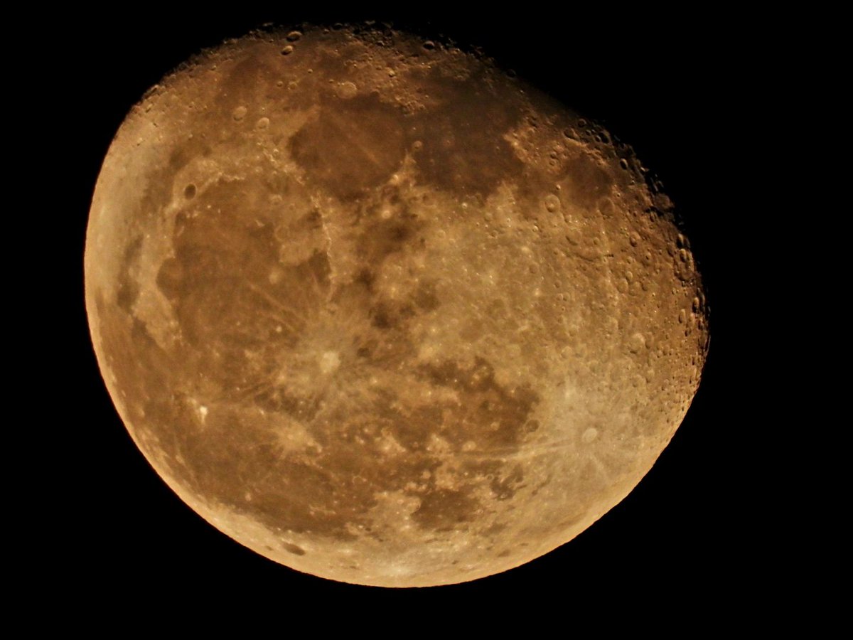 anuradhamathur's tweet image. #MoonHour #Artemis2 #launch #MoonHour 🌛@NASAArtemis #NASA @NatGeo @moon #indiAves @NASA last night shot on #Nikon