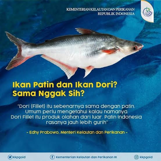 CariCuan tweet media